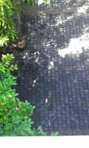 Sunstyle Mirissa (mini guest house) - 0