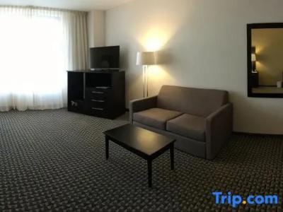 Holiday Inn Mexico Santa Fe, An Ihg - 57