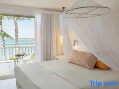 Tropical Attitude (Adults Only) - 44