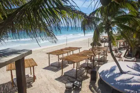 La Zebra a Colibri Boutique - 20