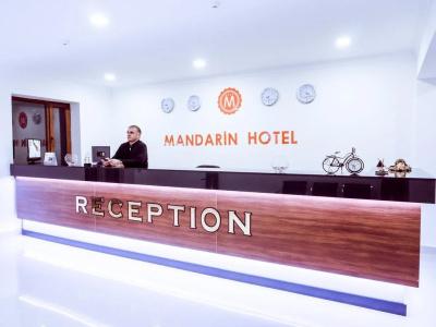 Mandarİn - 12