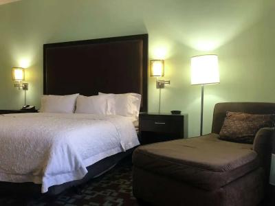 Hampton Inn & Suites Nashville at Opryland - 40
