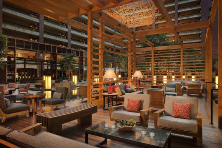 Hilton Anatole - 29