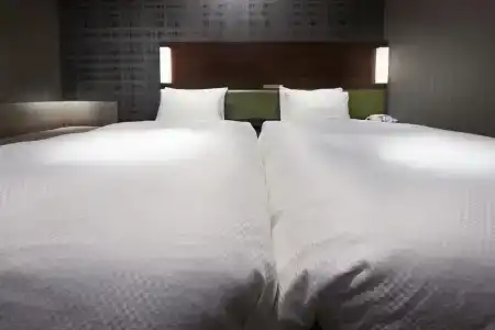 Sotetsu Grand Fresa Tokyo-Bay Ariake - 13