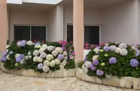 Puerto Palace - 25