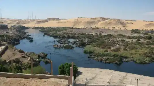 Sara Aswan - 12