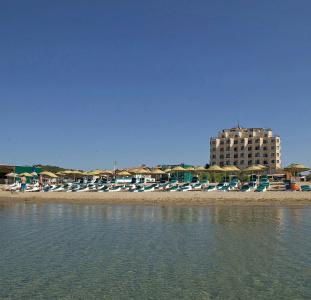 Palmera - 16