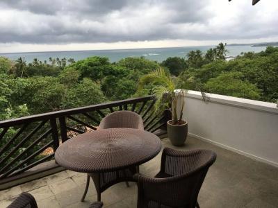 Little Tamarind - 20