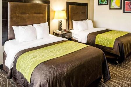 Comfort Inn Downtown Charleston - 69