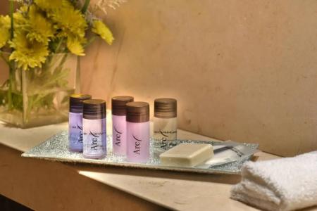 Arc Recoleta Boutique & Spa - 87
