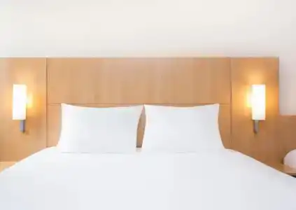 ibis Lausanne Crissier - 68