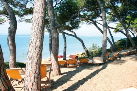 Il Pelagone & Golf Resort Toscana - 20