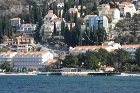 Didan - 15