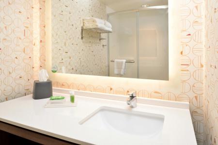 Holiday Inn & Suites Orlando International Drive South, An Ihg - 37