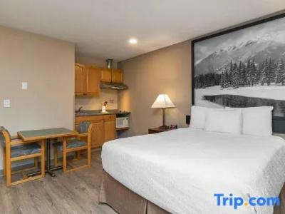Quality Inn & Suites - 34