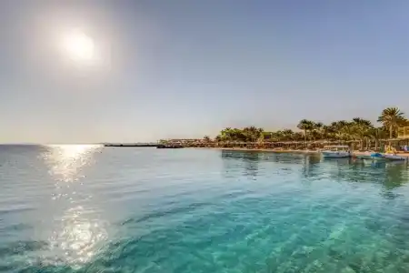 Palm Beach Resort Families and Couples only - 41