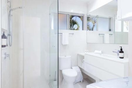Noosa River Palms - 238