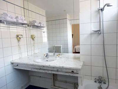 Ours Blanc - Place Victor Hugo - 73