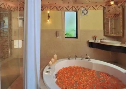 Rajasthali Resort & Spa - 27