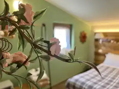 Peperosa in collina b&b - 40