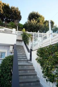 Pharus miseni B&B - 0