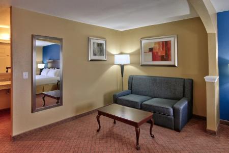 Holiday Inn Express & Suites Houston-Downtown Convention Center, An Ihg - 71