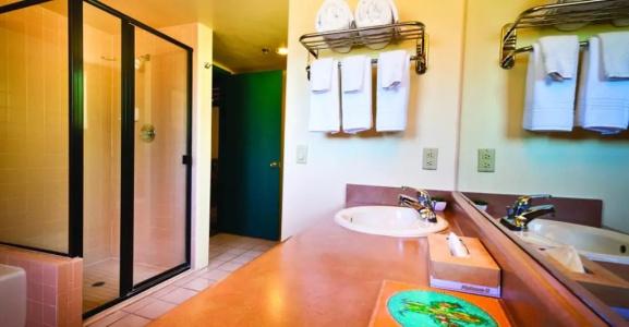 Starr Pass Golf Suites - 8