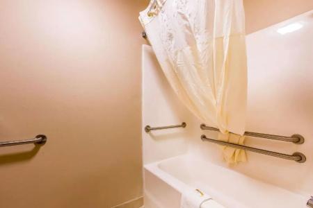 Quality Inn & Suites Chesterfield Village - 27