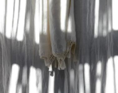 Vent Des Dunes - 24