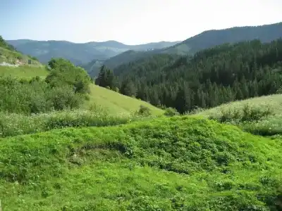 Smilen - 26