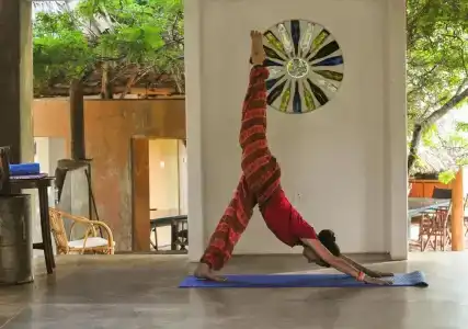 Back of beyond - Wellness Retreat - 66