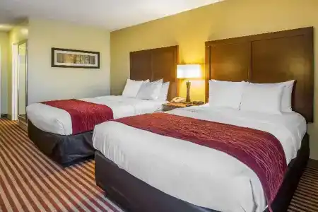 Comfort Inn Maingate - 29