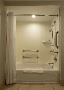Holiday Inn Express New Orleans Downtown, An Ihg - 8