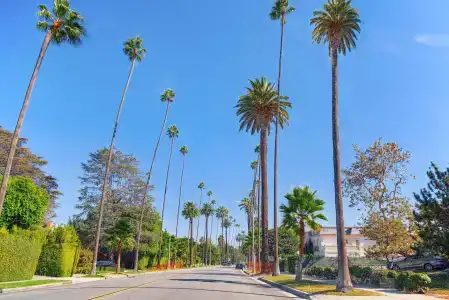 Silver Lake - 9