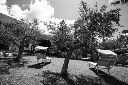 Trigrana Vacanze - 27