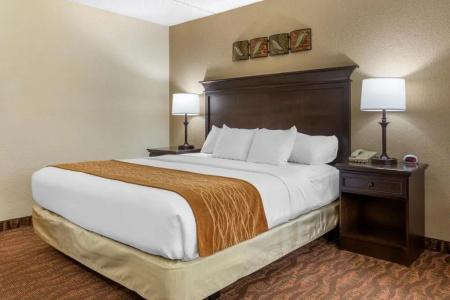 Comfort Inn at Thousand Hills - 35