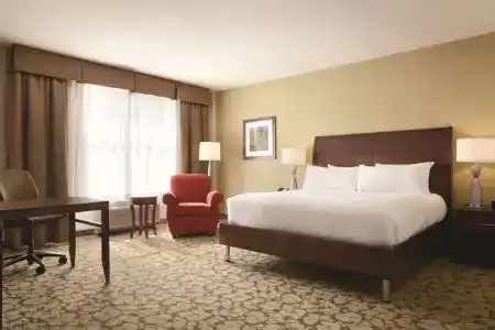 Hilton Garden Inn Boston Logan Airport - 3