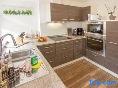 Apart Central – Premium Mountain&Garden - 230