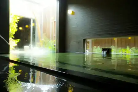 Kansai Airport Spa Garden Palace - 14