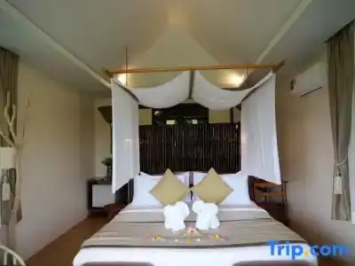 Khaosok Boutique Camps - 9