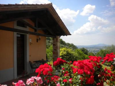 Il Poggio degli Olivi - 97