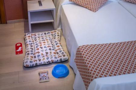 Ght Balmes,-Aparthotel&Splash - 69