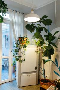 Tomato Backpackers - 33