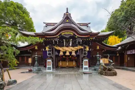 9 Hakata - 11