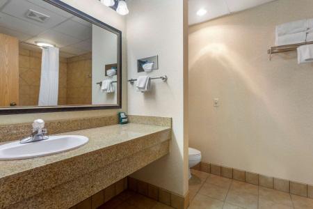Comfort Inn at Thousand Hills - 65