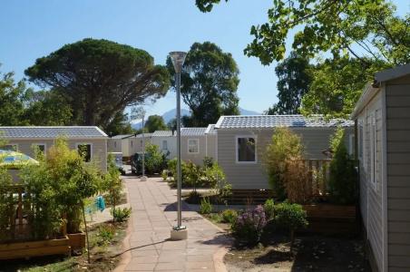 Camping International - 100