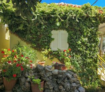 villa Petro - 35