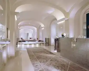 Hôtel Plaza Athénée - Dorchester Collection - 26