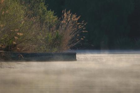 See& Restaurant die Ente - 34