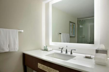 Hilton Miami Airport Blue Lagoon - 7